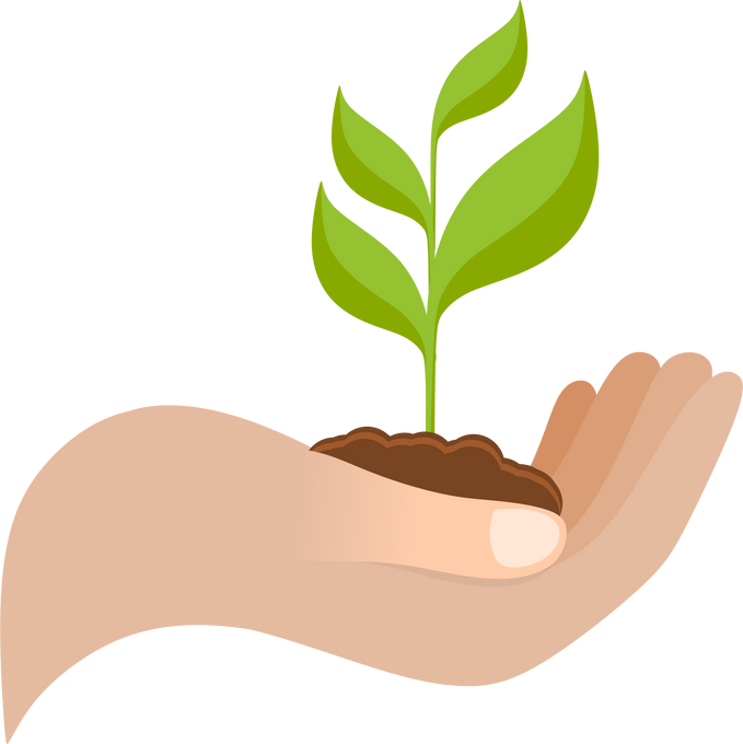 Hand Holding Seedling